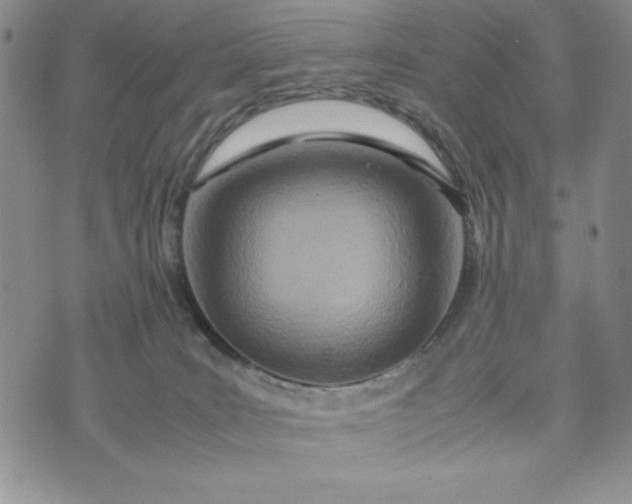 X0000075360035200609251113