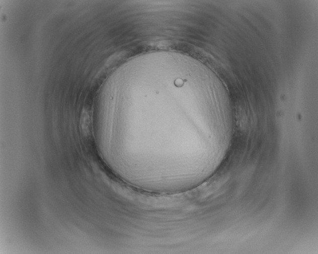 X0000075360036200609251113