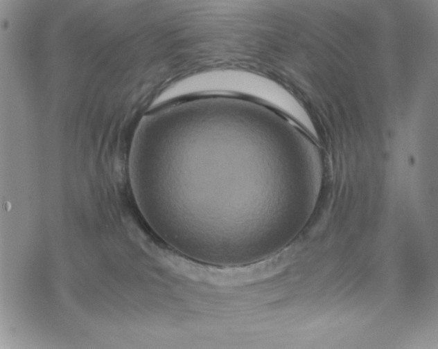 X0000075360039200609251113