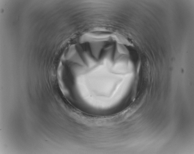 X0000075360040200609251113