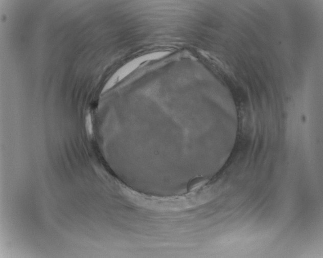 X0000075360042200609251113