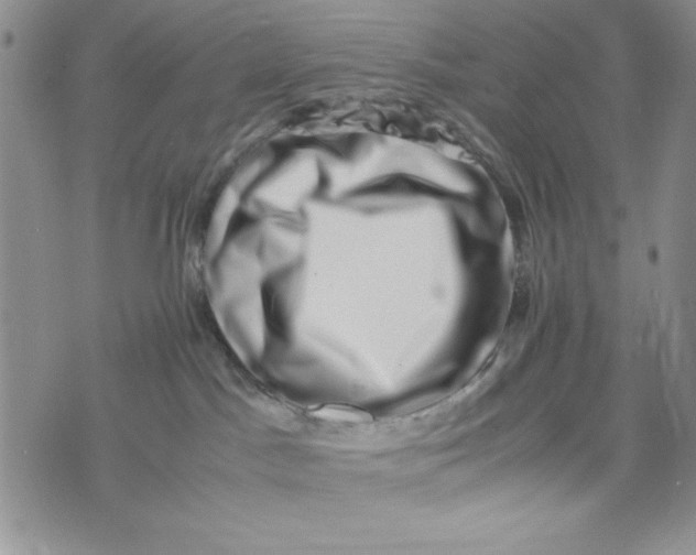 X0000075360045200609251113