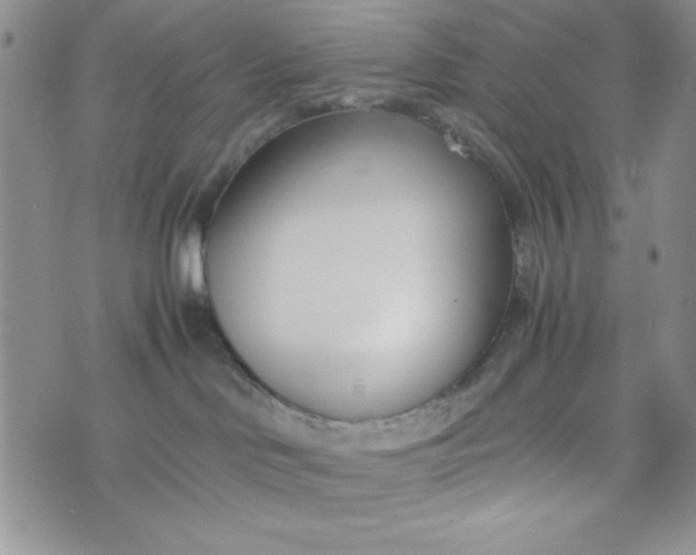 X0000075360046200609251113