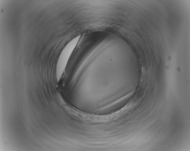 X0000075360048200609251113