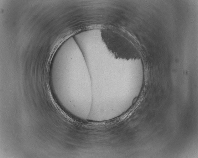 X0000075360049200609251112