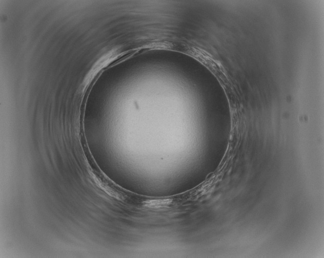 X0000075360051200609251112