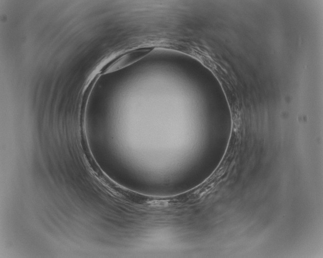 X0000075360052200609251112