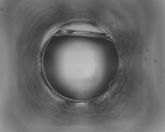 X0000075360053200609251112