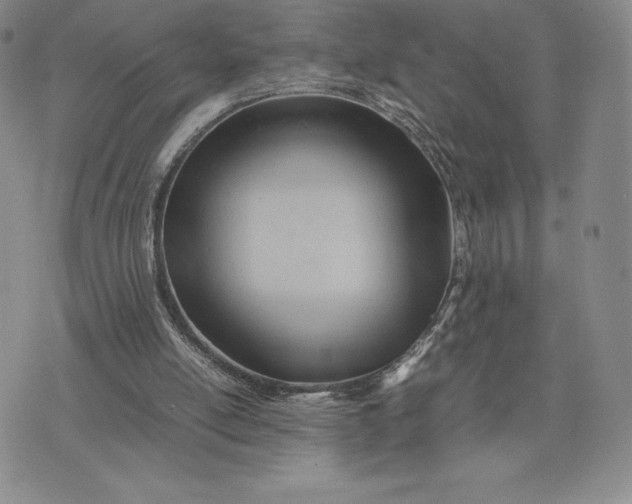 X0000075360054200609251112