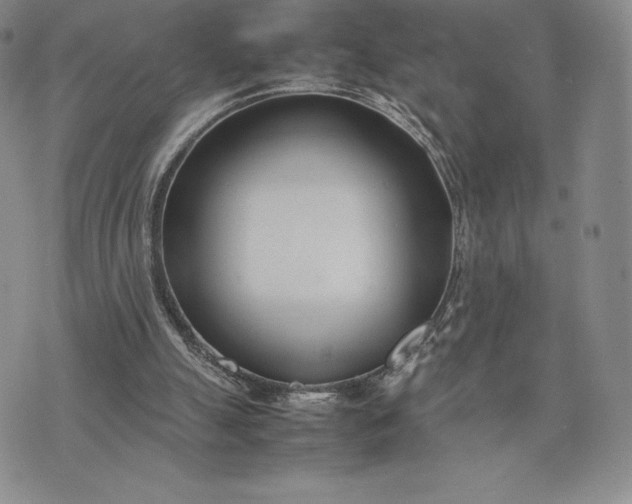 X0000075360055200609251112