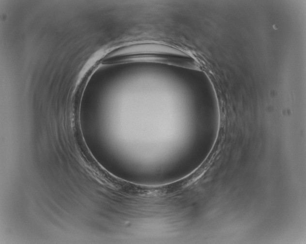 X0000075360056200609251112