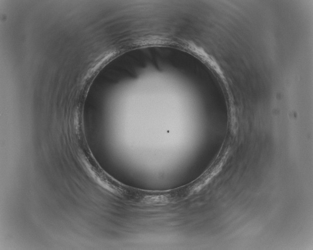 X0000075360057200609251112