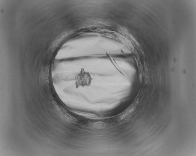 X0000075360058200609251112