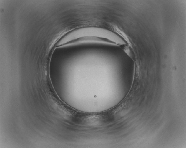 X0000075360059200609251112