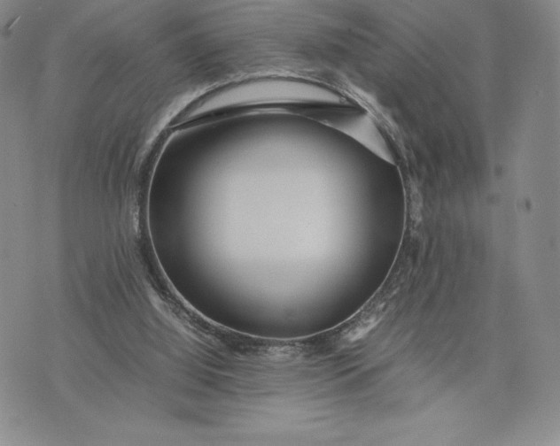 X0000075360060200609251112