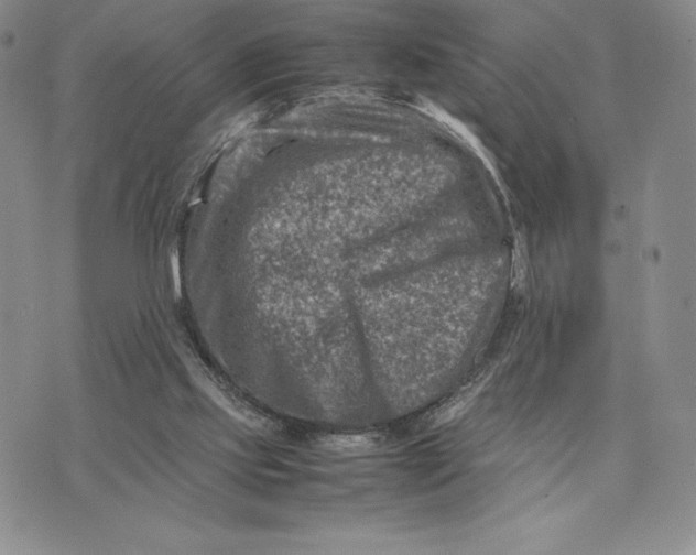 X0000075360061200609251112