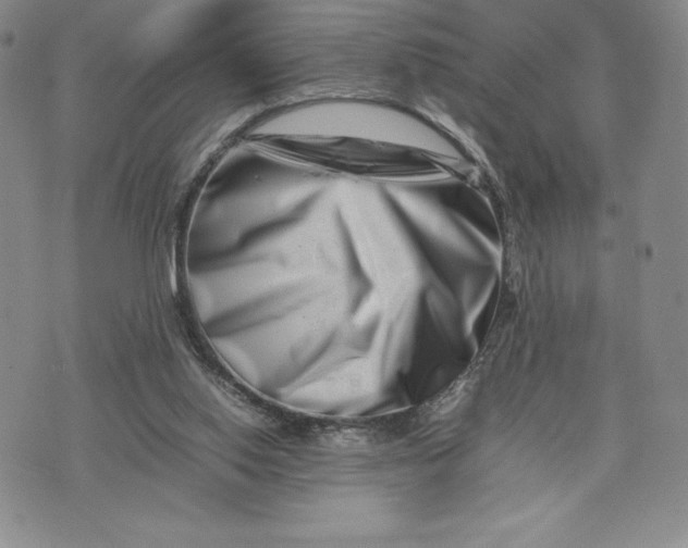 X0000075360062200609251112