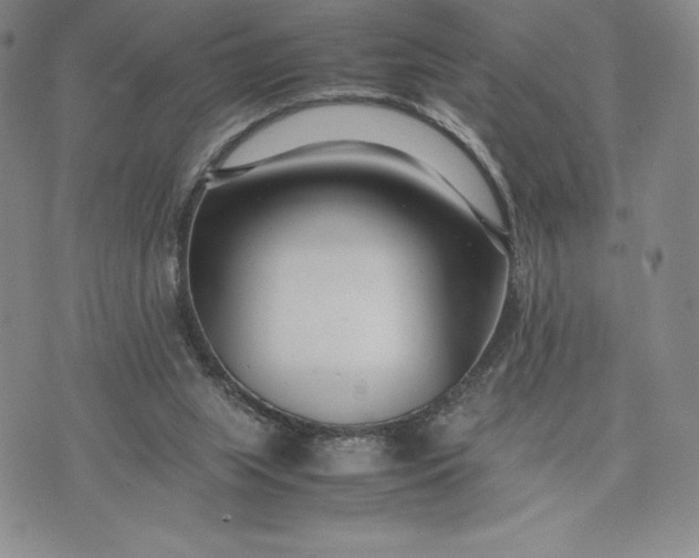 X0000075360063200609251112