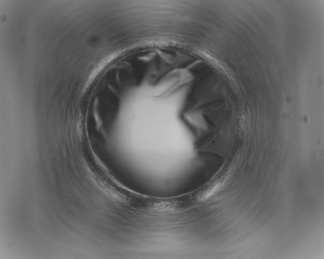 X0000075360064200609251112