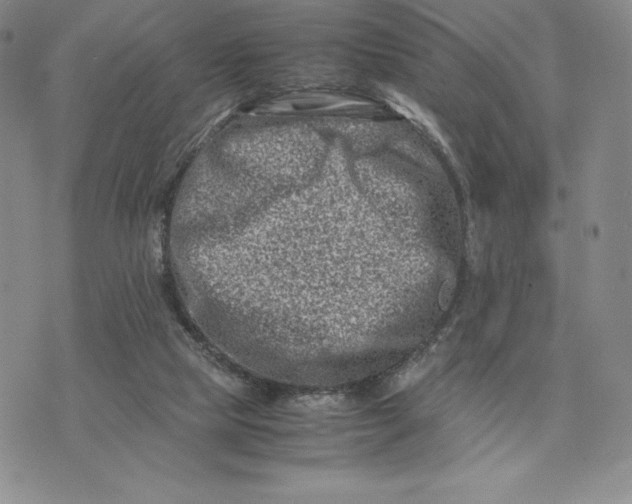 X0000075360065200609251112