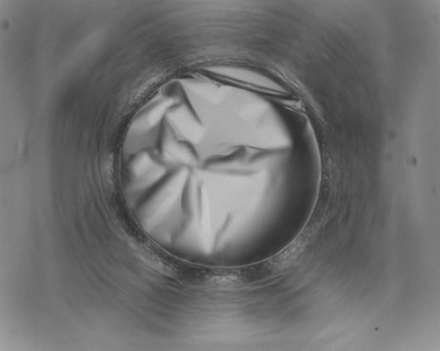 X0000075360066200609251112