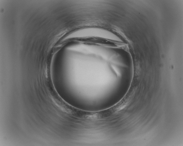 X0000075360068200609251112