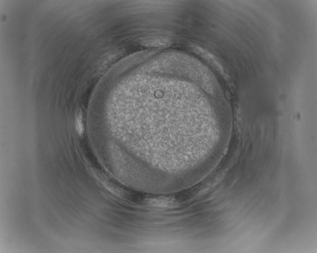 X0000075360069200609251112