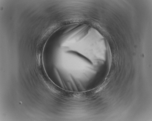 X0000075360070200609251112