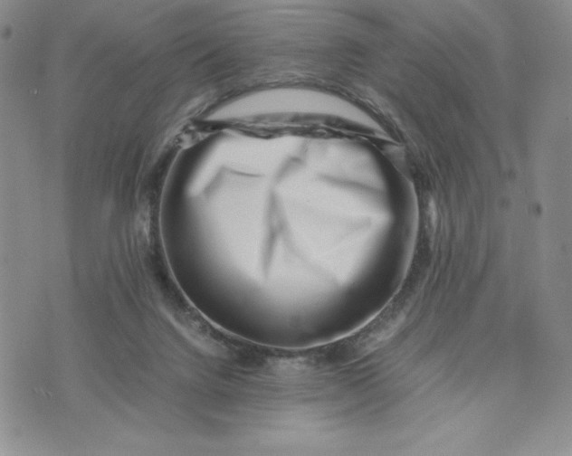 X0000075360072200609251112