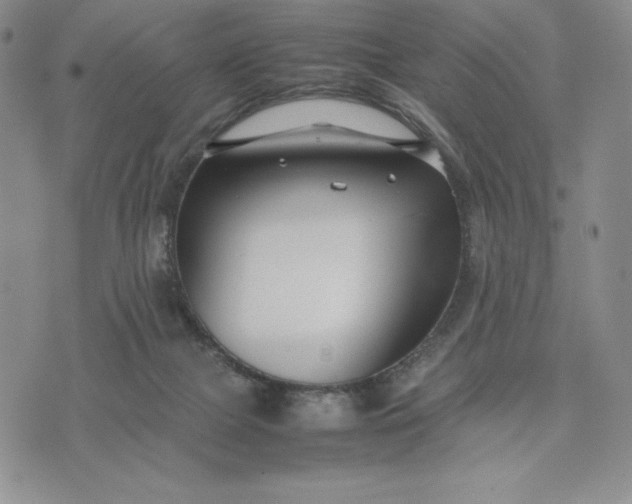 X0000075360073200609251112