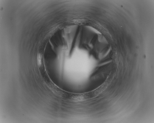 X0000075360075200609251112