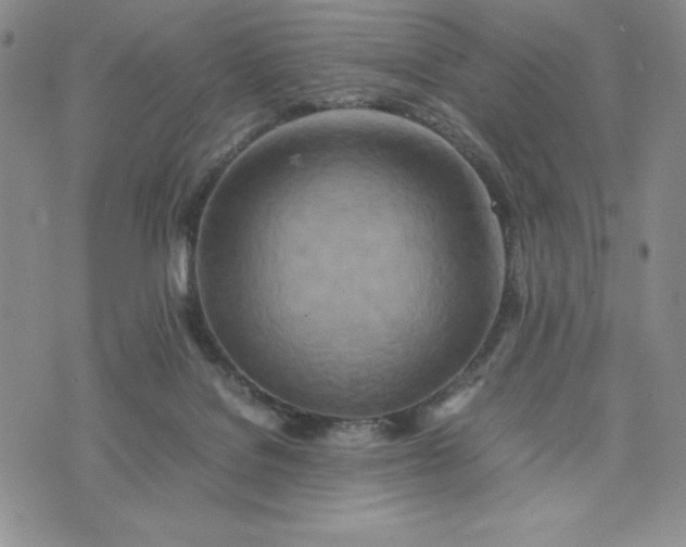 X0000075360076200609251112