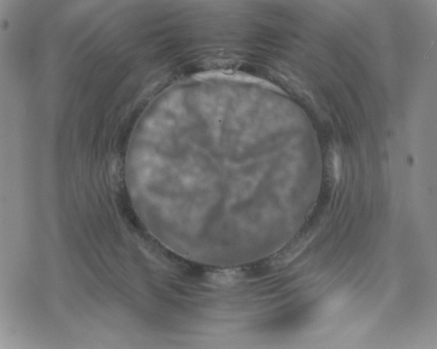 X0000075360079200609251112