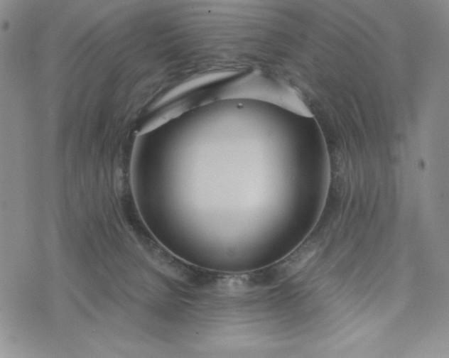 X0000075360080200609251112