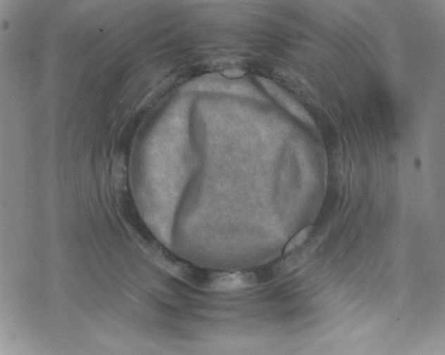 X0000075360083200609251112