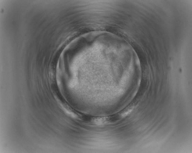 X0000075360084200609251112