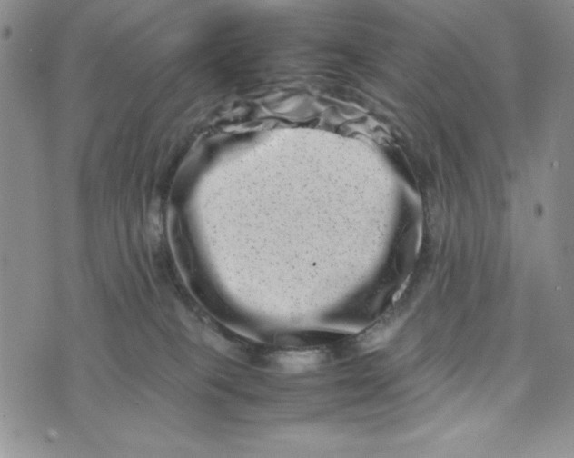 X0000075360085200609251112