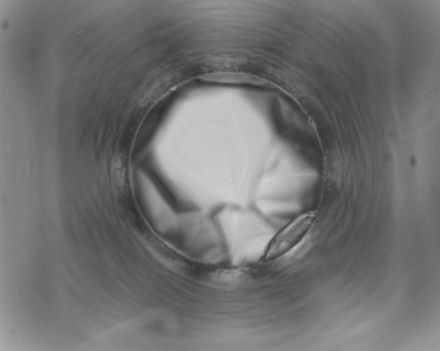 X0000075360086200609251112