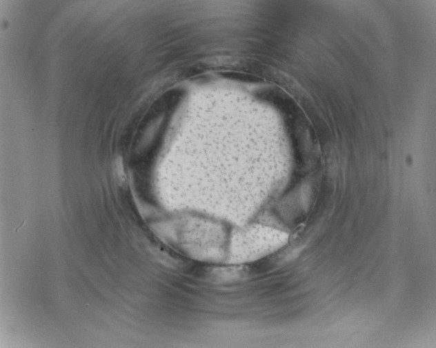 X0000075360089200609251113