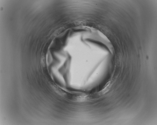 X0000075360090200609251113