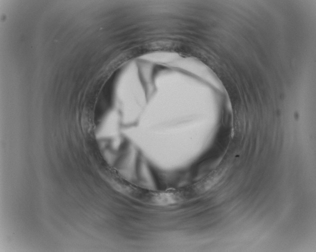 X0000075360091200609251113