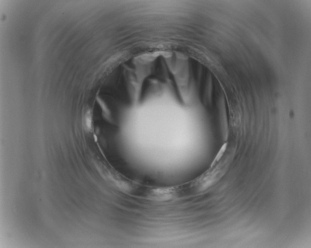 X0000075360095200609251113