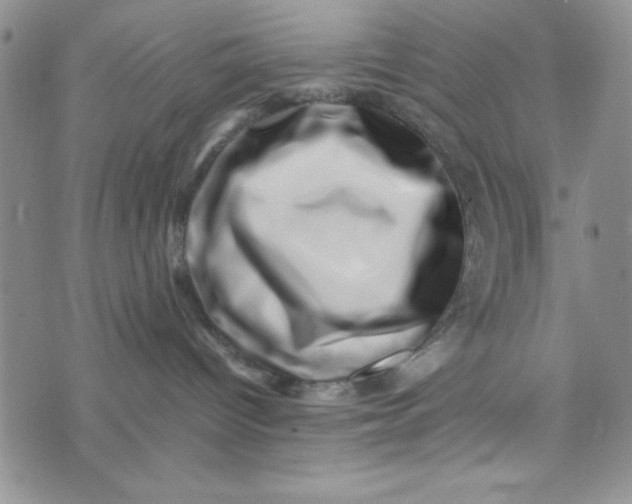 X0000075360096200609251113