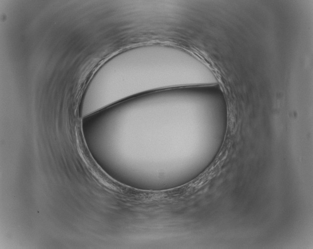 X0000075360097200609251112