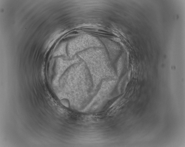 X0000075360098200609251112