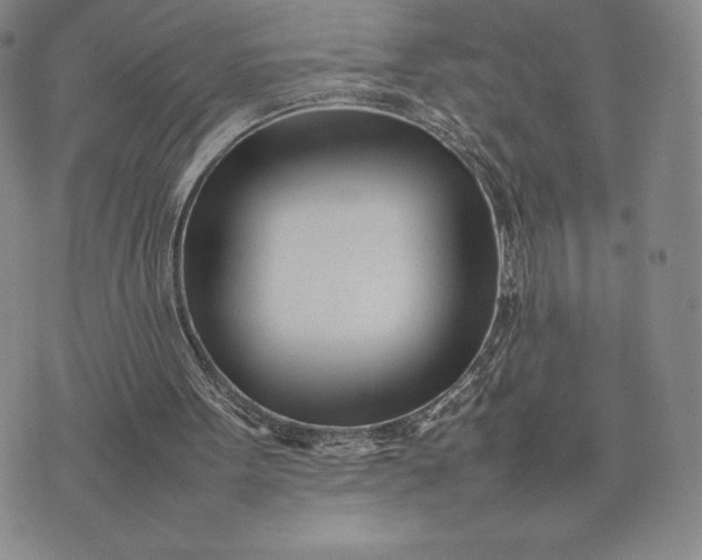 X0000075360099200609251112