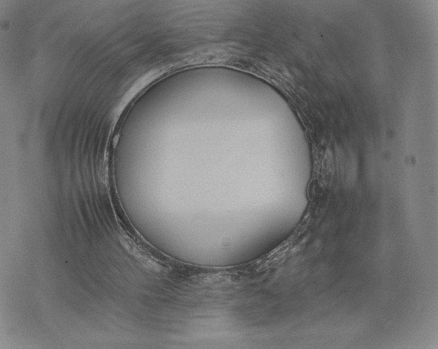 X0000075360100200609251112