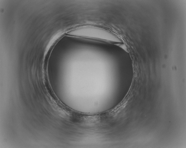 X0000075360102200609251112