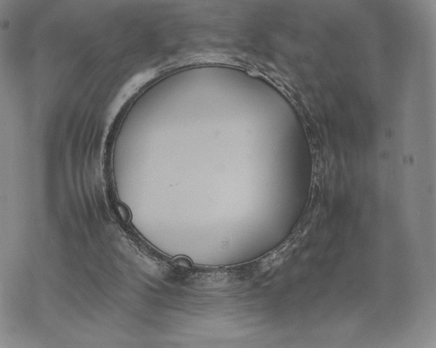 X0000075360104200609251112