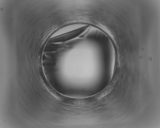 X0000075360105200609251112